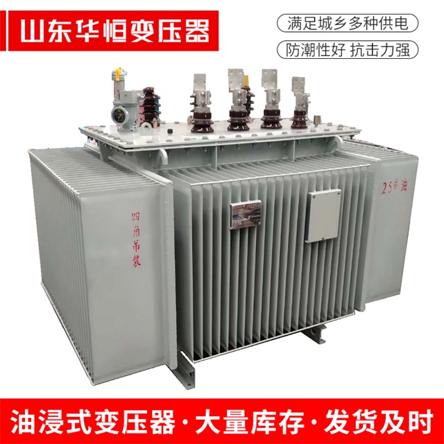 S13-10000/35于洪于洪于洪电力变压器厂家
